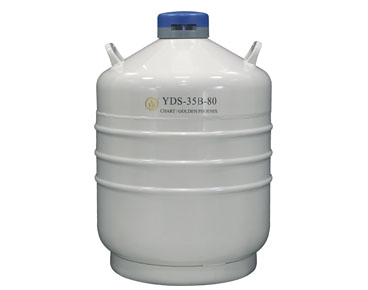 金凤液氮罐